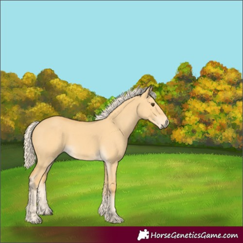 Horse Color:Palomino Dun 
