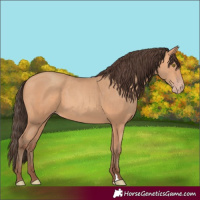 Horse Color:Amber Champagne