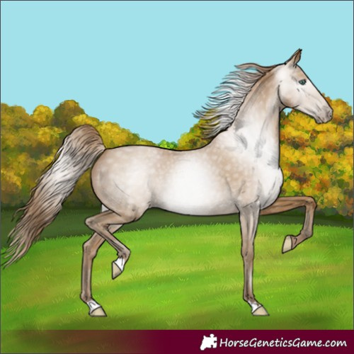 Horse Color:Gray Smoky Black Pearl 