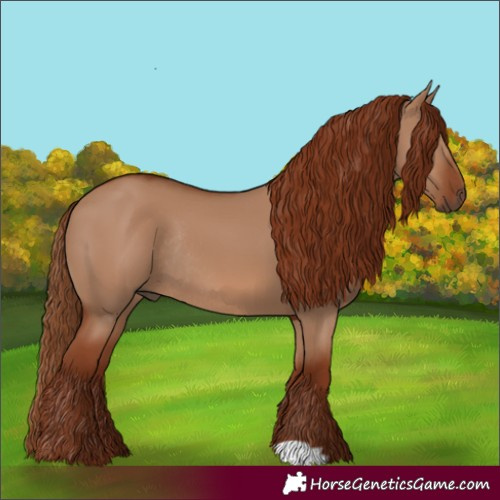 Horse Color:Red Dun Rabicano