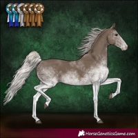 Horse Color:White Spotted Silver Black