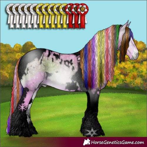 Horse Color:Gray Void Painted Watercolor White Spotted Bay Ice Onyx Tobiano Appaloosa 