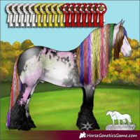 Horse Color:Gray Void Painted Watercolor White Spotted Bay Ice Onyx Tobiano Appaloosa