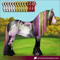 Horse Color:Gray Void Painted Watercolor White Spotted Bay Ice Onyx Tobiano Appaloosa 