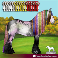 Horse Color:Gray Void Painted Watercolor White Spotted Bay Ice Onyx Tobiano Appaloosa 