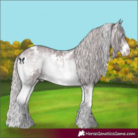 Horse Color:White Spotted Chocolate Silver Brown Chinchilla Ice Onyx Sabino 