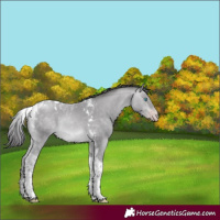 Horse Color:Platinum Sable Cream Champagne Tobiano Rabicano