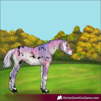 Horse Color:Void Watercolor White Spotted Silver Brown Ice Onyx 