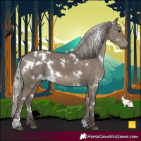 Horse Color:White Spotted Silver Grullo 