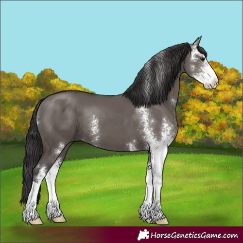 Horse Color:Smoky Grullo Sabino 