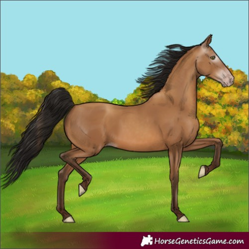 Horse Color:Gray Amber Champagne
