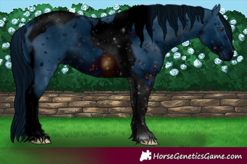 Horse Color:ERROR: UNKNOWN ANOMALY