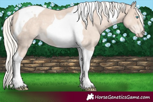 Horse Color:Cremello Mushroom Tobiano