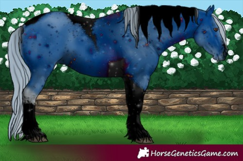Horse Color:ERROR: UNKNOWN ANOMALY