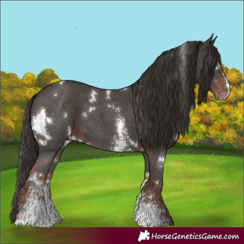 Horse Color:White Spotted Liver Chestnut Sabino