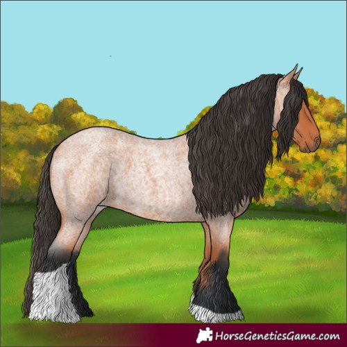 Horse Color:Bay Roan Tobiano 