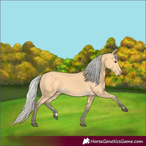 Horse Color:Silver Buckskin