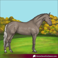 Horse Color:Silver Grullo