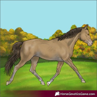 Horse Color:Classic Cream Champagne