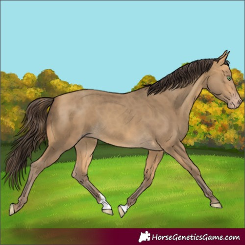Horse Color:Sable Cream Champagne 