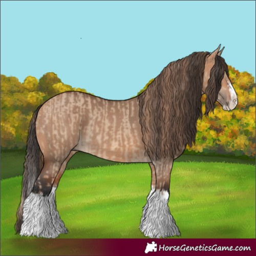 Horse Color:Red Dun Splash  and Bay Dun Splash 