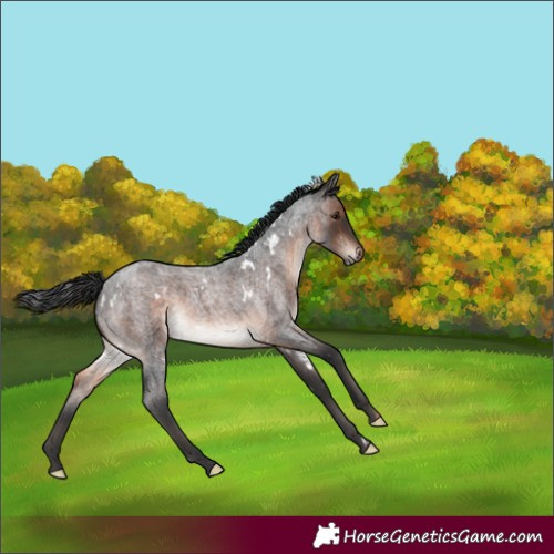 Horse Color:White Spotted Brown Roan Mushroom 