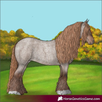 Horse Color:Liver Red Dun Roan Rabicano