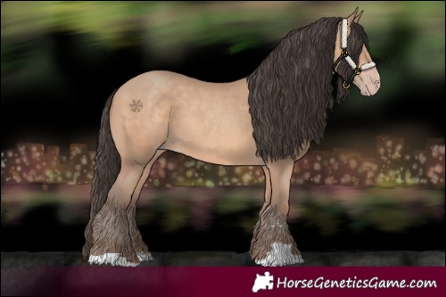 Horse Color:Amber Champagne 