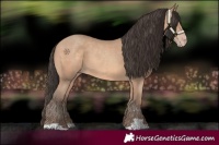 Horse Color:Amber Champagne