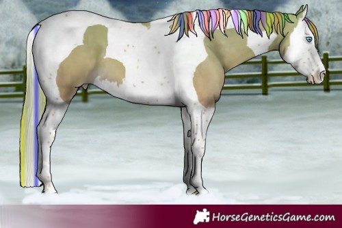 Horse Color:Painted Perlino Splash Tobiano 