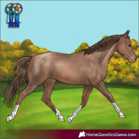 Horse Color:Black Pearl