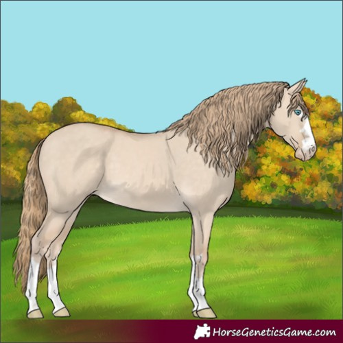 Horse Color:Perlino Dun 