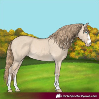 Horse Color:Perlino Dun