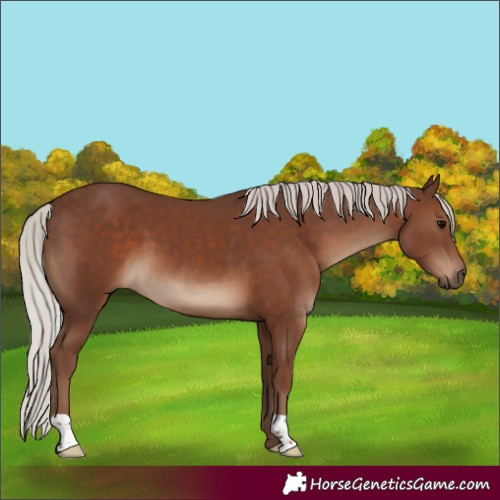 Horse Color:Silver Black 