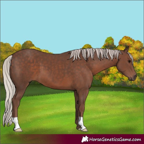 Horse Color:Silver Black 