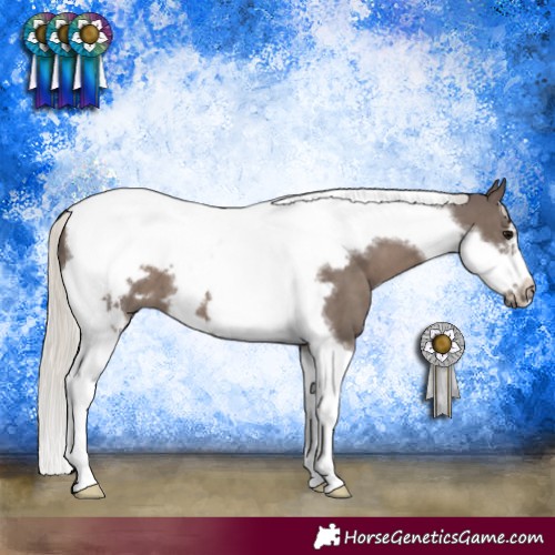 Horse Color:Silver Black Tobiano Frame 