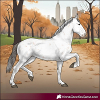 Horse Color:Bay Sabino 