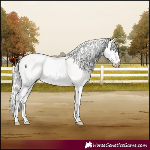 Horse Color:Cremello Dun 