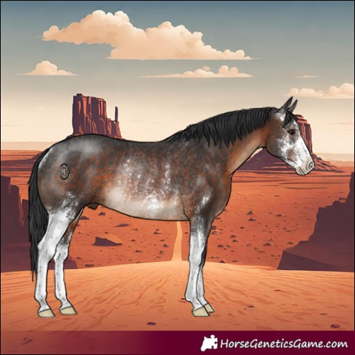 Horse Color:Brown Sabino Rabicano 