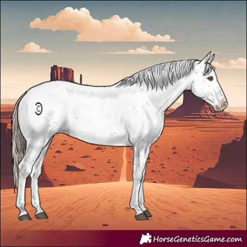 Horse Color:Brown Pearl Sabino Near Leopard Rabicano 
