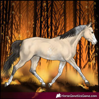 Horse Color:Buckskin Sabino Tobiano 