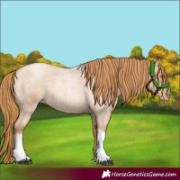 Horse Color:Red Roan Pearl Tobiano Frame 