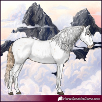 Horse Color:Chestnut Sabino 