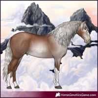 Horse Color:Gray Silver Black Pearl Tobiano 