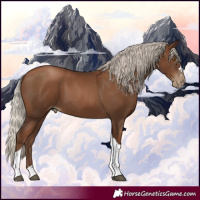 Horse Color:Gray Silver Black Pearl Tobiano