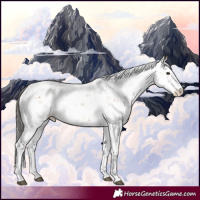 Horse Color:Bay Sabino