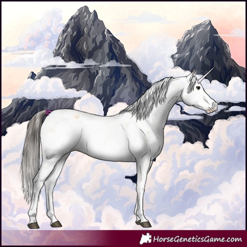 Horse Color:Buckskin Sabino 