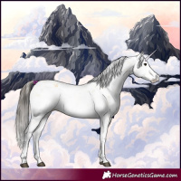 Horse Color:Buckskin Sabino