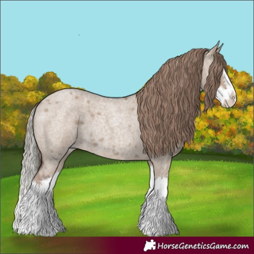 Horse Color:Liver Red Dun Roan Splash 