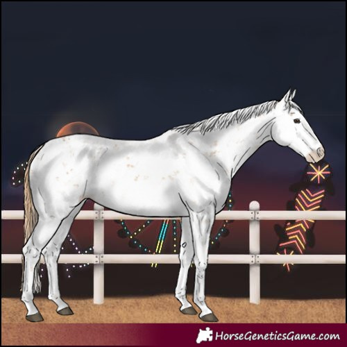 Horse Color:Chestnut Sabino 